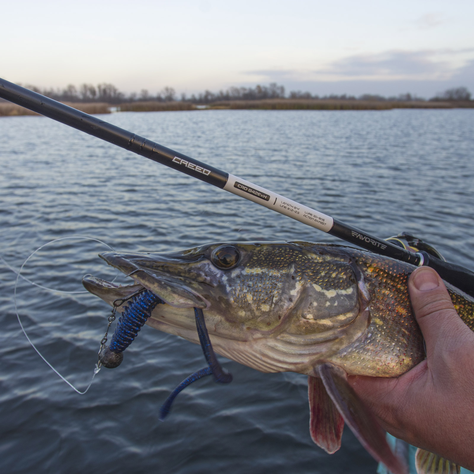 old shimano curado specs Whats the difference between these shimano curado K's? what do the letters  and numbers stand for? : r/Fishing_Gear